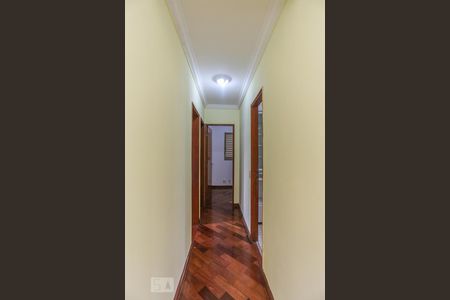 Corredor de apartamento para alugar com 3 quartos, 64m² em Vila Butantã, São Paulo