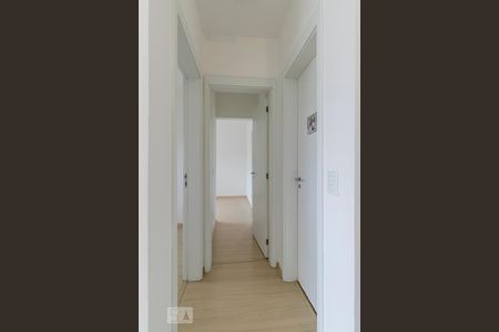 Corredor de apartamento para alugar com 2 quartos, 69m² em Belenzinho, São Paulo