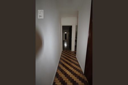 Corredor de casa para alugar com 4 quartos, 280m² em Nova Campinas, Campinas