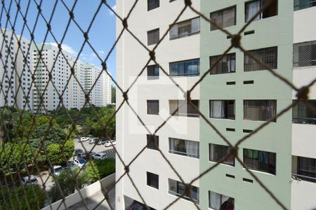 Vista da Varanda de apartamento para alugar com 2 quartos, 55m² em Jardim das Flores, São Paulo