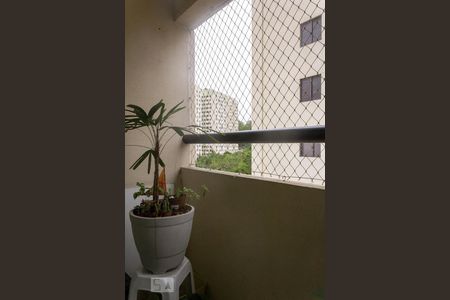 Varanda de apartamento à venda com 2 quartos, 55m² em Jardim das Flores, São Paulo