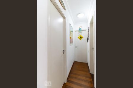 Corredor de apartamento para alugar com 2 quartos, 52m² em Cambuci, São Paulo