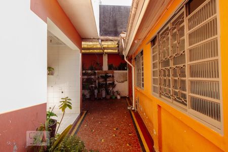 Casa à venda com 244m², 4 quartos e 3 vagas Casa à venda com 244m², 4 quartos e 3 vagasCozinha e área de serviço - edícula