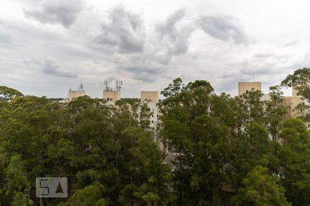 Vista da Varanda da Sala de apartamento para alugar com 2 quartos, 50m² em Vila Santa Teresa (zona Sul), São Paulo