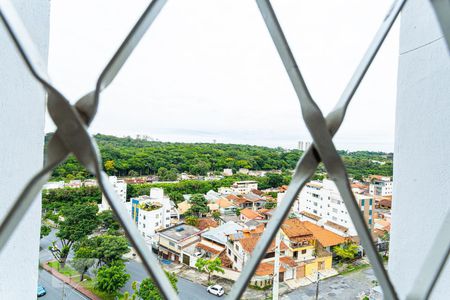 Vista da Varanda da Sala de apartamento para alugar com 2 quartos, 65m² em Santa Ines, Belo Horizonte