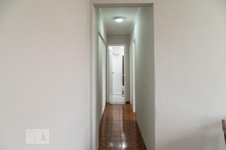 Corredor de apartamento para alugar com 2 quartos, 50m² em Vila Salete, São Paulo