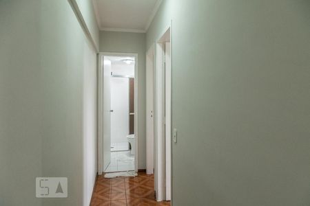 Corredor de apartamento para alugar com 2 quartos, 50m² em Vila Salete, São Paulo