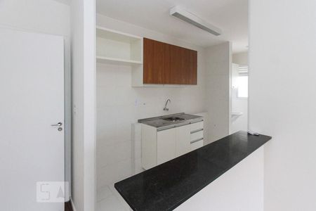 Cozinha de apartamento para alugar com 2 quartos, 50m² em Jardim Vila Formosa, São Paulo