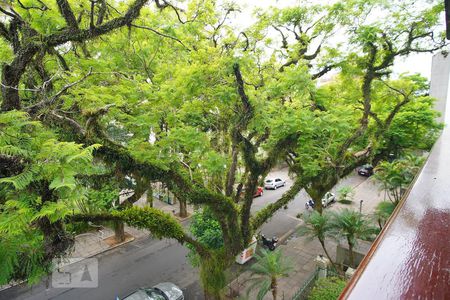 Vista de apartamento para alugar com 4 quartos, 352m² em Moinhos de Vento, Porto Alegre