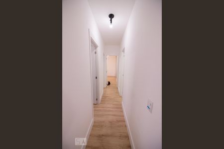 Corredor de apartamento para alugar com 3 quartos, 66m² em Butantã, São Paulo