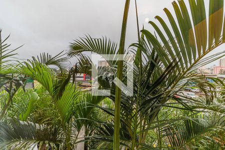 Vista do Quarto de apartamento à venda com 2 quartos, 54m² em Parque São Vicente, Santo André