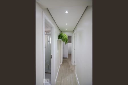 Corredor de apartamento para alugar com 2 quartos, 41m² em Jardim Alvorada (zona Oeste), São Paulo