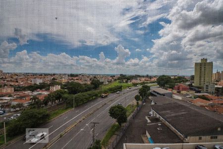 Vista da Suíte de apartamento à venda com 3 quartos, 70m² em Jardim Chapadão, Campinas