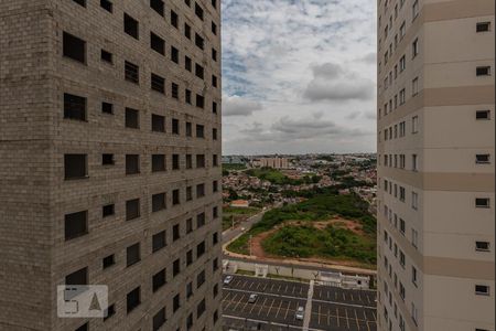 Vista do Quarto 1 de apartamento para alugar com 3 quartos, 58m² em Jardim do Lago Continuação, Campinas