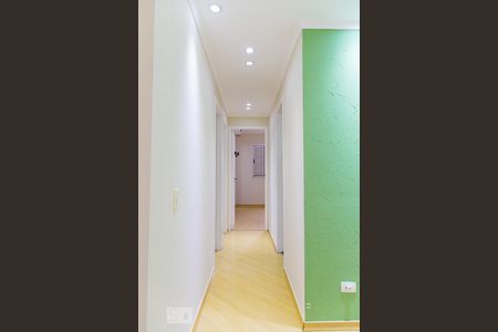 Sala - Corredor de apartamento à venda com 3 quartos, 68m² em Chácara Inglesa, São Paulo