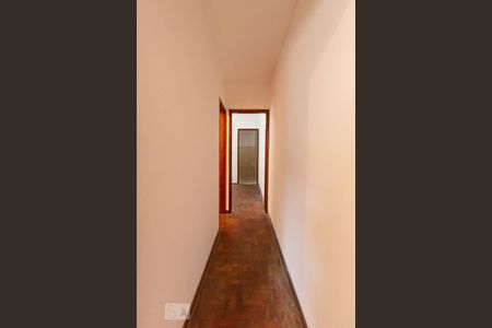 Corredor de casa para alugar com 2 quartos, 60m² em Vila Carmosina, São Paulo