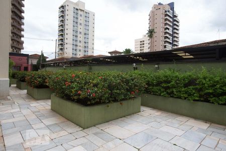 Área comum - área verde de apartamento para alugar com 3 quartos, 100m² em Centro, Ribeirão Preto