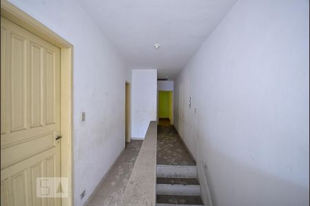 Circulação de casa para alugar com 2 quartos, 70m² em Vila Firmiano Pinto, São Paulo
