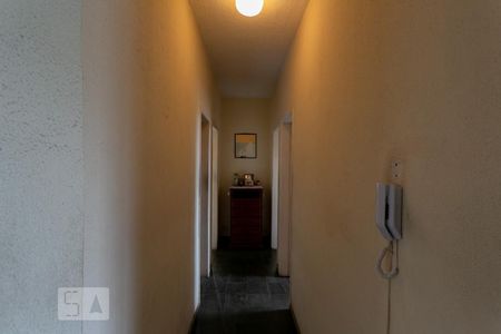 Corredor de apartamento para alugar com 3 quartos, 75m² em Boa Vista, Belo Horizonte