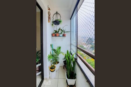 Varanda de apartamento à venda com 3 quartos, 83m² em Santa Terezinha, São Bernardo do Campo