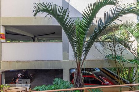 Vista do Quarto 1 de apartamento à venda com 2 quartos, 46m² em Parque São Vicente, Santo André