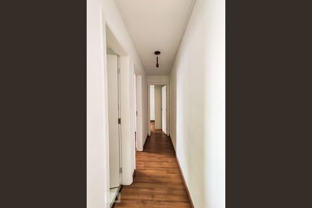 Corredor de apartamento para alugar com 2 quartos, 67m² em Vila Suzana, São Paulo