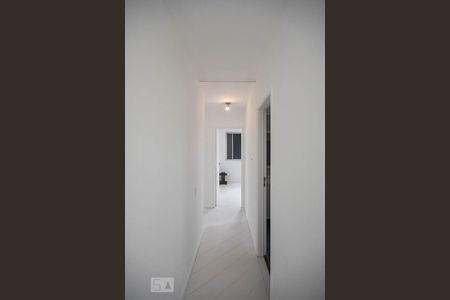 Corredor de apartamento à venda com 3 quartos, 80m² em Vila Progredior, São Paulo