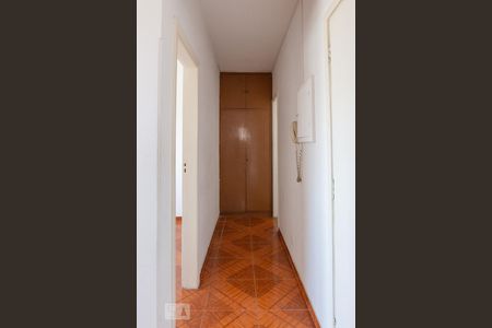 Corredor de apartamento para alugar com 1 quarto, 54m² em Sumarezinho, São Paulo