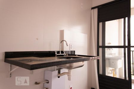 Detalhe cozinha de apartamento para alugar com 2 quartos, 50m² em Vila Dom Pedro Ii, São Paulo