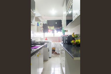 Cozinha de apartamento para alugar com 2 quartos, 50m² em Jardim Marabá(zona Sul), São Paulo