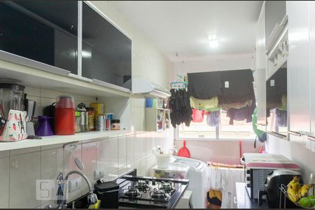 Cozinha de apartamento para alugar com 2 quartos, 50m² em Jardim Marabá(zona Sul), São Paulo