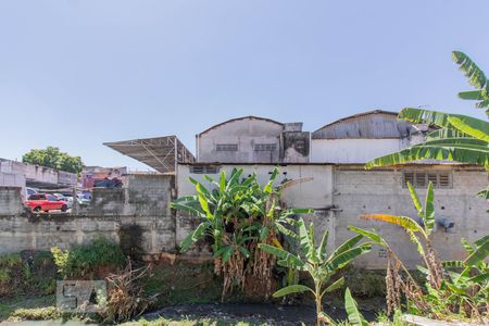 Vista do Quarto de casa para alugar com 1 quarto, 50m² em Vila Gustavo, São Paulo