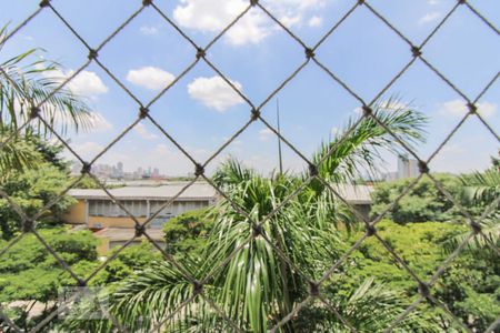 Vista do Quarto 1 de apartamento para alugar com 3 quartos, 63m² em Vila Guilherme, São Paulo