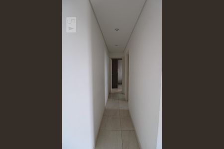 Corredor de apartamento para alugar com 2 quartos, 52m² em Bonfim, Campinas