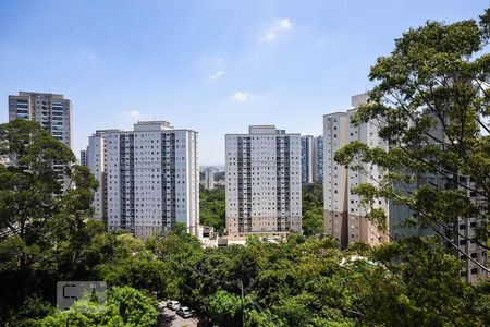 Vista de kitnet/studio para alugar com 1 quarto, 38m² em Vila Andrade, São Paulo