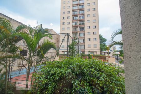 Vista de apartamento para alugar com 2 quartos, 69m² em Nova Piraju, São Paulo