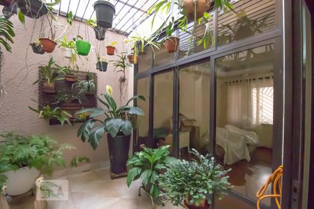 Sala - Jardim de Inverno de casa para alugar com 3 quartos, 430m² em Vila da Saúde, São Paulo