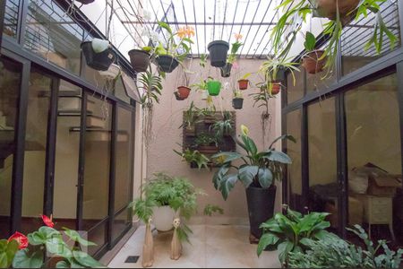 Sala - Jardim de Inverno de casa para alugar com 3 quartos, 430m² em Vila da Saúde, São Paulo