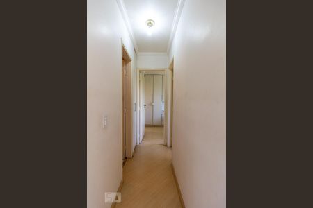 Corredor Quartos de apartamento para alugar com 2 quartos, 60m² em Jardim Sarah, São Paulo