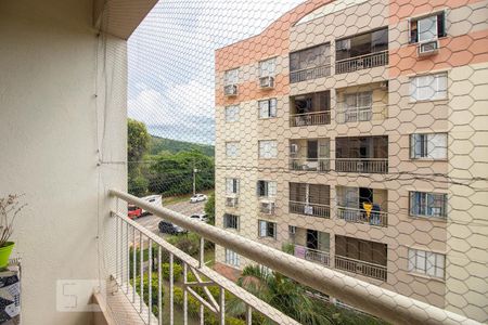Varanda da Sala de apartamento à venda com 3 quartos, 68m² em Jardim Carvalho, Porto Alegre