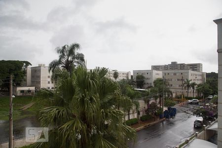 Vista da janela da sala (lado direito) de apartamento para alugar com 2 quartos, 49m² em Parque São Sebastião, Ribeirão Preto