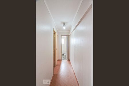 Corredor de apartamento para alugar com 2 quartos, 75m² em Jardim Sao Paulo(zona Norte), São Paulo