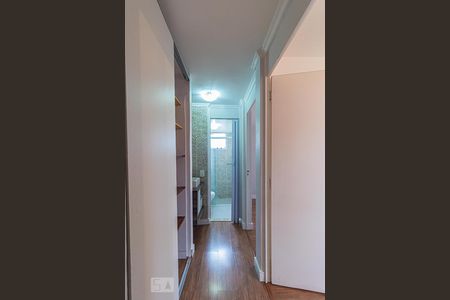 Corredor de apartamento para alugar com 2 quartos, 56m² em Jardim Alvorada, Santo André