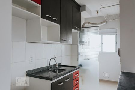 Cozinha de apartamento para alugar com 2 quartos, 48m² em Ribeirânia, Ribeirão Preto