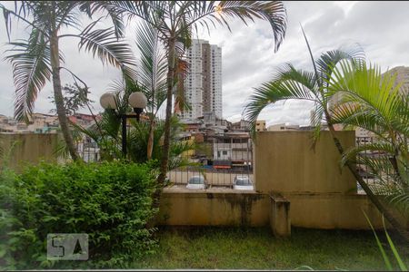Vista Sala de apartamento à venda com 3 quartos, 62m² em Vila Araguaia, São Paulo