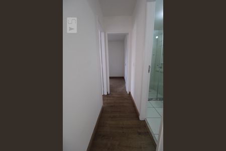 Corredor de apartamento para alugar com 2 quartos, 52m² em Bonfim, Campinas