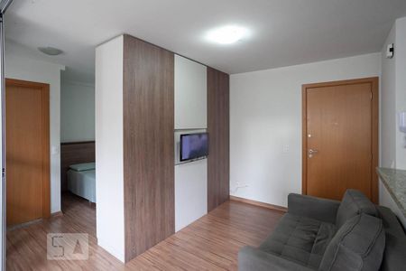 Sala de apartamento para alugar com 1 quarto, 37m² em Lourdes, Belo Horizonte