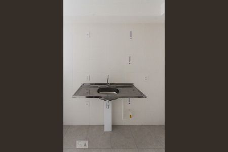 Cozinha de apartamento para alugar com 1 quarto, 31m² em Vila Ema, São Paulo