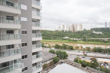 Vista de apartamento para alugar com 2 quartos, 62m² em Jardim Caravelas, São Paulo