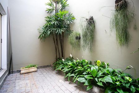 Jardim de inverno de casa para alugar com 3 quartos, 300m² em Parque Mandaqui, São Paulo